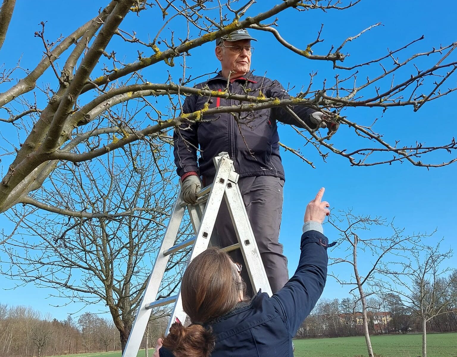 Arbeitseinsatz/Schnittkurs auf der Hennigsdorfer Streuobstwiese